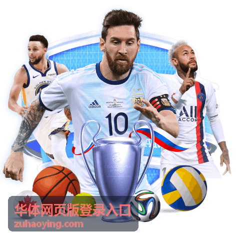 华体网页版登录入口平台功能配图