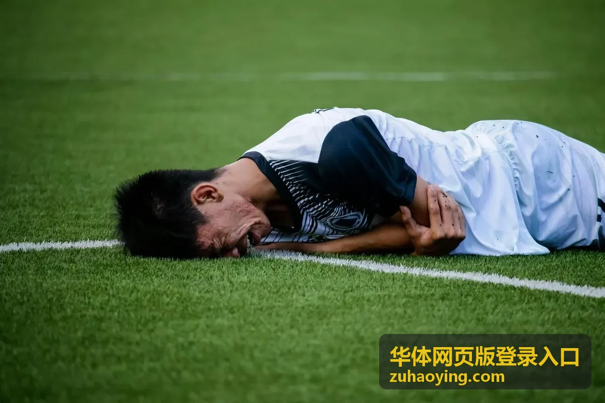 华体网页版登录入口集中使用与活动安排场景示意