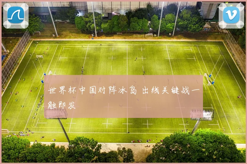 世界杯中国对阵冰岛 出线关键战一触即发